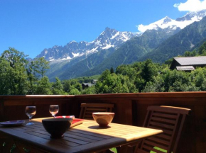 Facing the Chamonix Needles